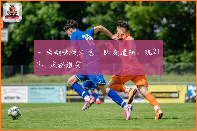 一诺趣味梗汇总:队友遭殃、玩219、庆祝遭罚