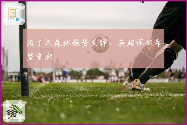 诺丁汉森林强势反弹，英超保级希望重燃